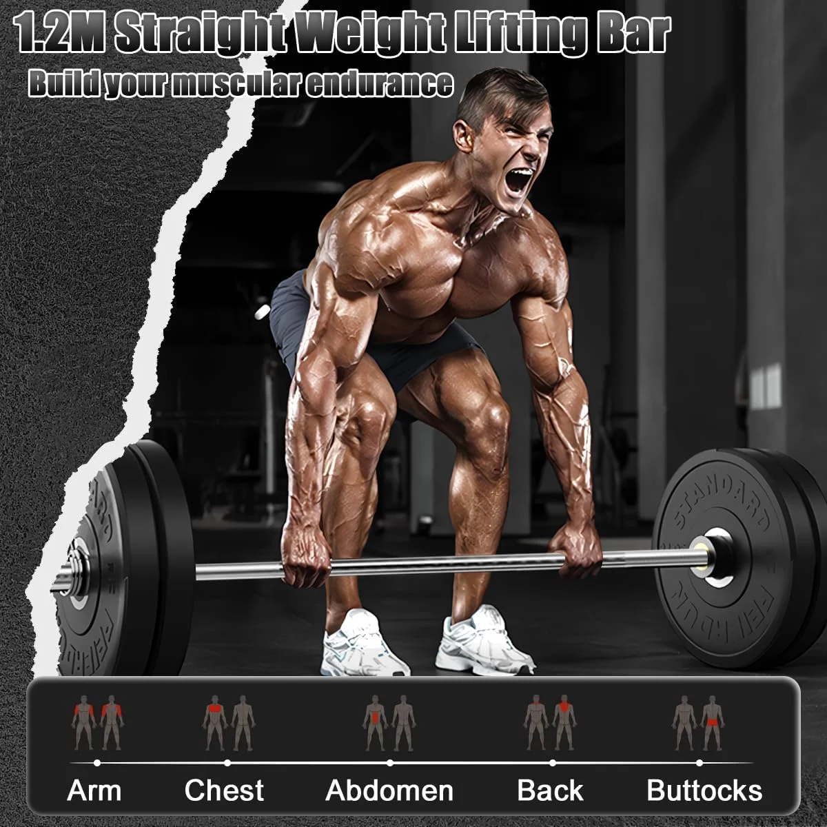 میله هالتر المپیک، میله وزنه برداری مستقیم 1.2 متری با بست های فنری، میله وزنه باشگاهی 150 کیلوگرمی برای صفحات وزنه 5 سانتی متری، اسکات ددلیفت کرل پرس سینه، تمرینات کراس فیت فولادی جامد ضد لغزش