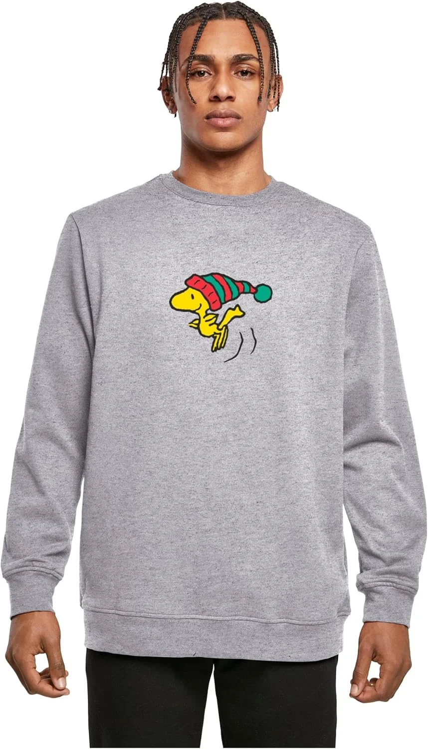 تی شرت مردانه یقه گرد طرح Peanuts Woodstock، برش معمولی، سایز XS