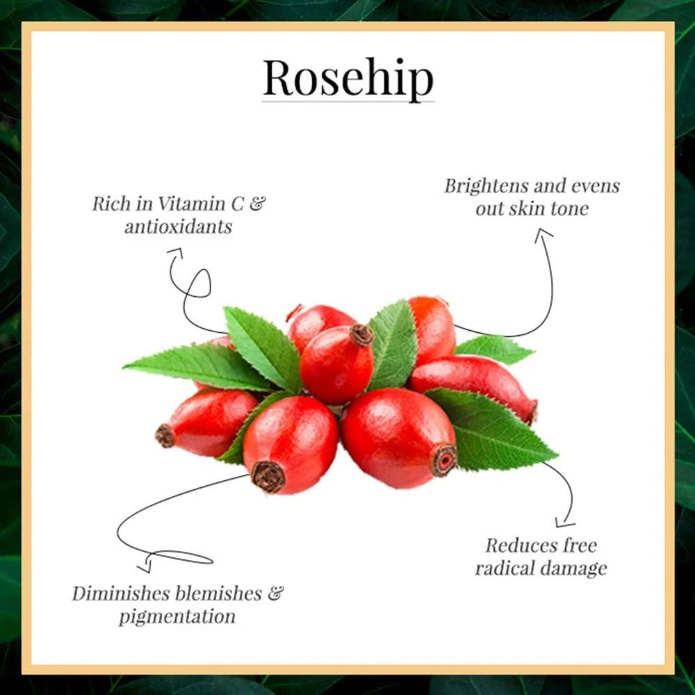 سرم صورت رز هیپ برای درخشش و شادابی پوست - حاوی ویتامین A و اسیدهای چرب ضروری، کمک به تاخیر علائم پیری، کاهش لکه‌های تیره و مرطوب کننده پوست - بافت سبک، غیر چسبنده و طراوت بخش، 30 میلی لیتر