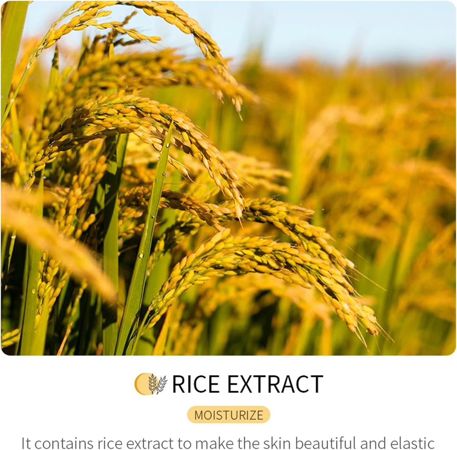 مجموعه مراقبت از پوست با عصاره برنج خام برای زنان و دختران نوجوان، مجموعه مراقبت از پوست با عصاره برنج خام شامل کرم صورت، کرم دور چشم، ماسک خواب، مجموعه مرطوب کننده و ضد پیری پوست (10 تکه)