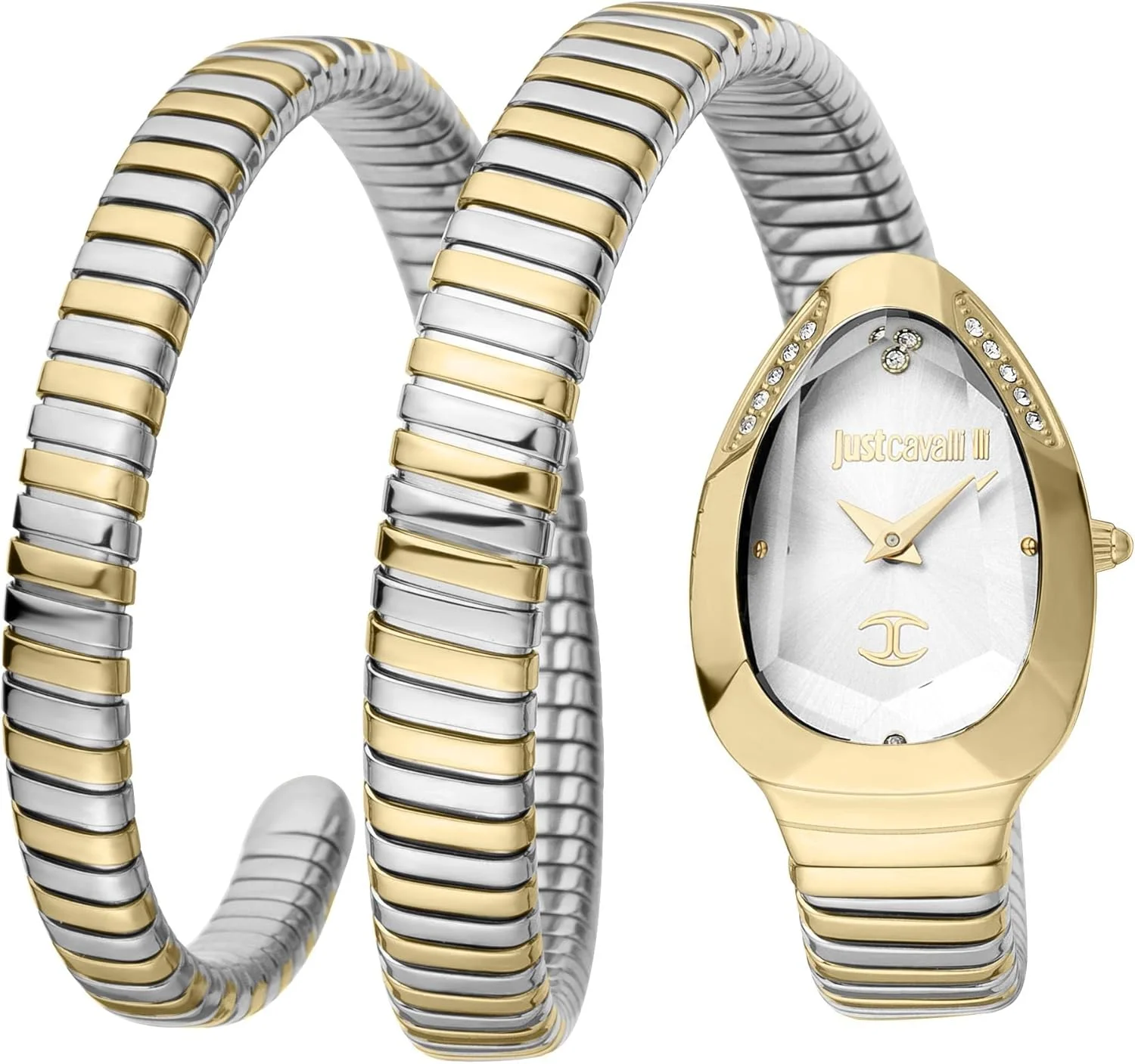 ساعت مچی زنانه جاست کاوالی مدل JC1L209M0065