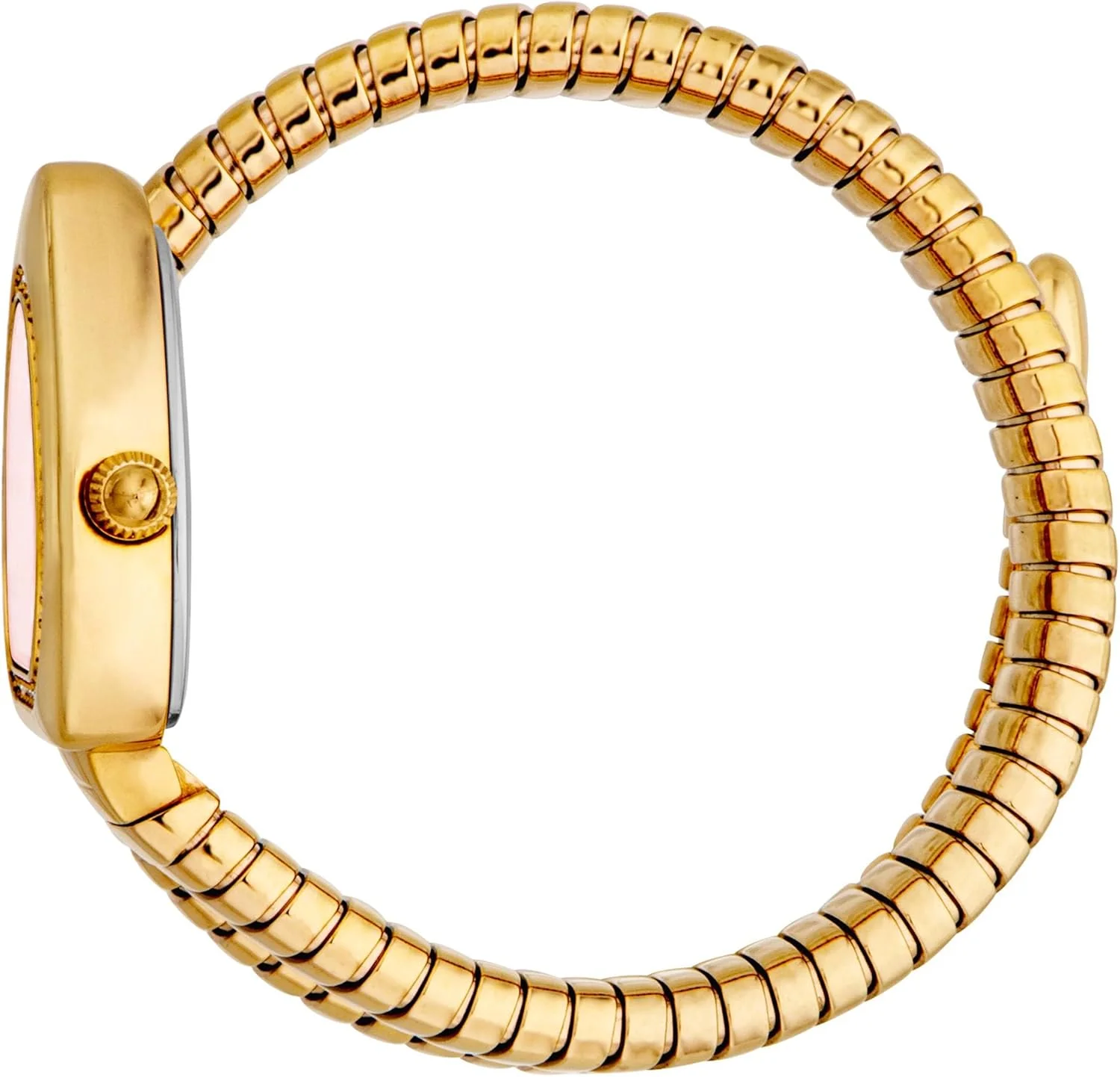 ساعت مچی زنانه جاست کاوالی مدل JC1L249M0025