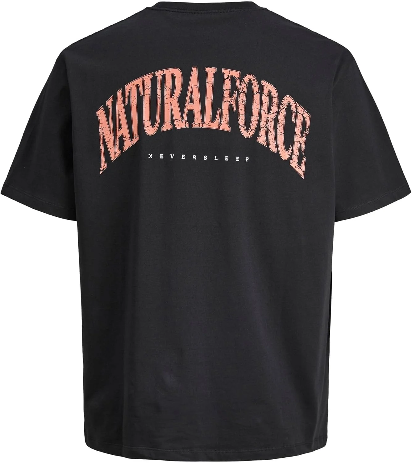 تی شرت مردانه جک اند جونز مدل Joreaglerock Gallery Tee Ss Cn Tg Pls (تک بسته)