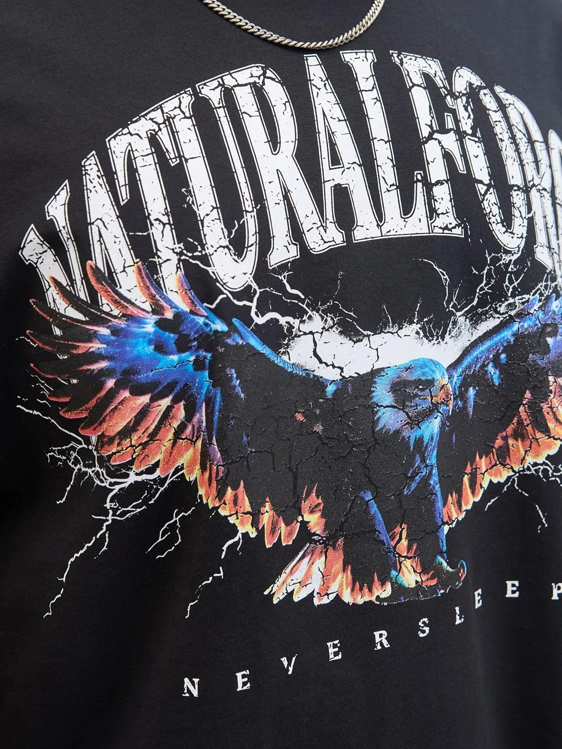 تی شرت مردانه جک اند جونز مدل Joreaglerock Gallery Tee Ss Cn Tg Pls (تک بسته)