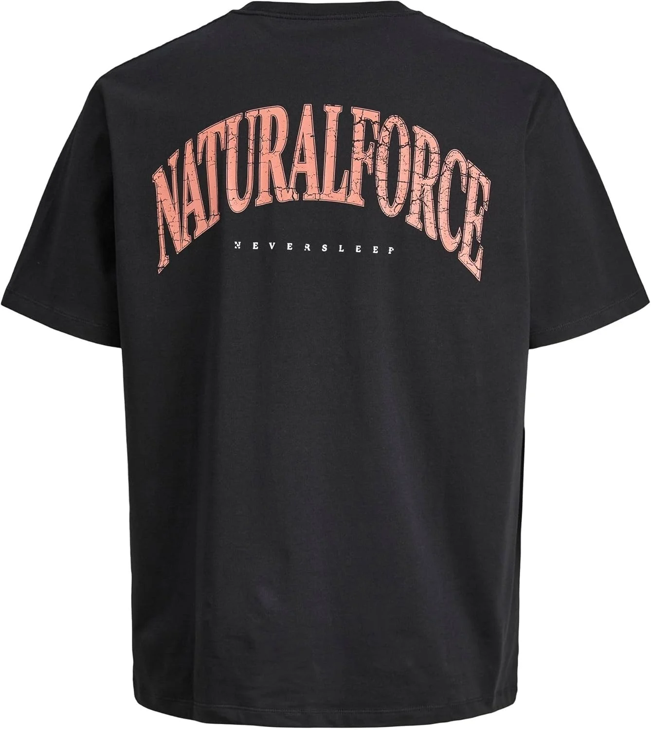 تی شرت مردانه جک اند جونز مدل Joreaglerock Gallery Tee Ss Crew Neck Tg (بسته 1 عددی)