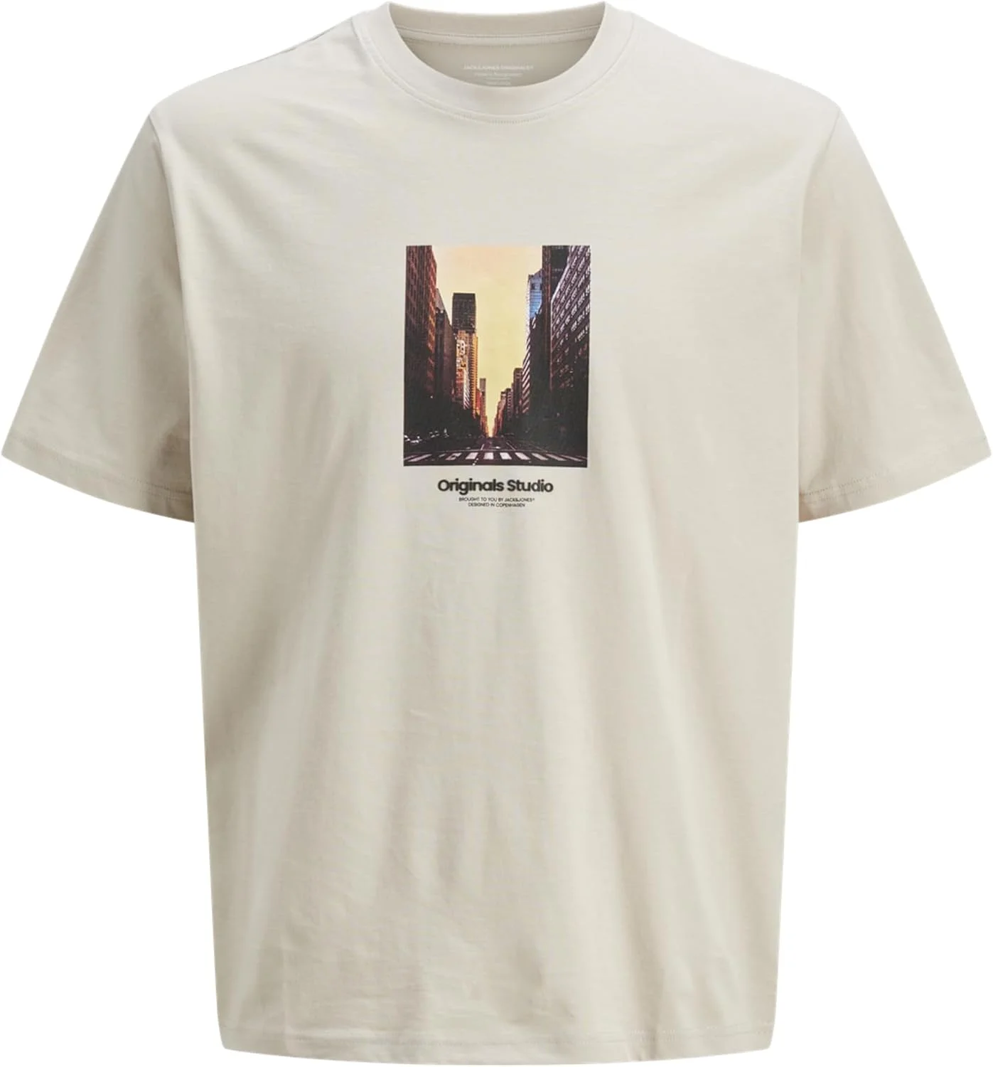 تی شرت مردانه جک اند جونز مدل Jorvesterbro Picture Tee Ss C.n Pls (بسته 1 عددی)