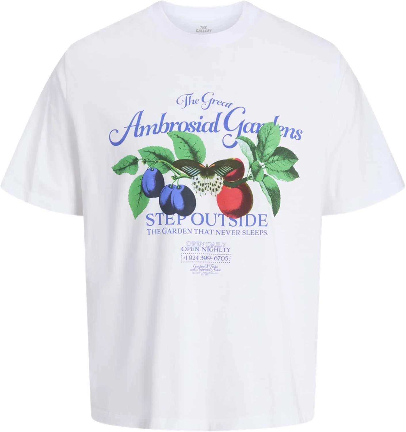 تی‌شرت یقه گرد آستین کوتاه مردانه جک اند جونز مدل Jorfauna Gallery Tee Ss Crew Neck Tg (بسته 1 عددی)