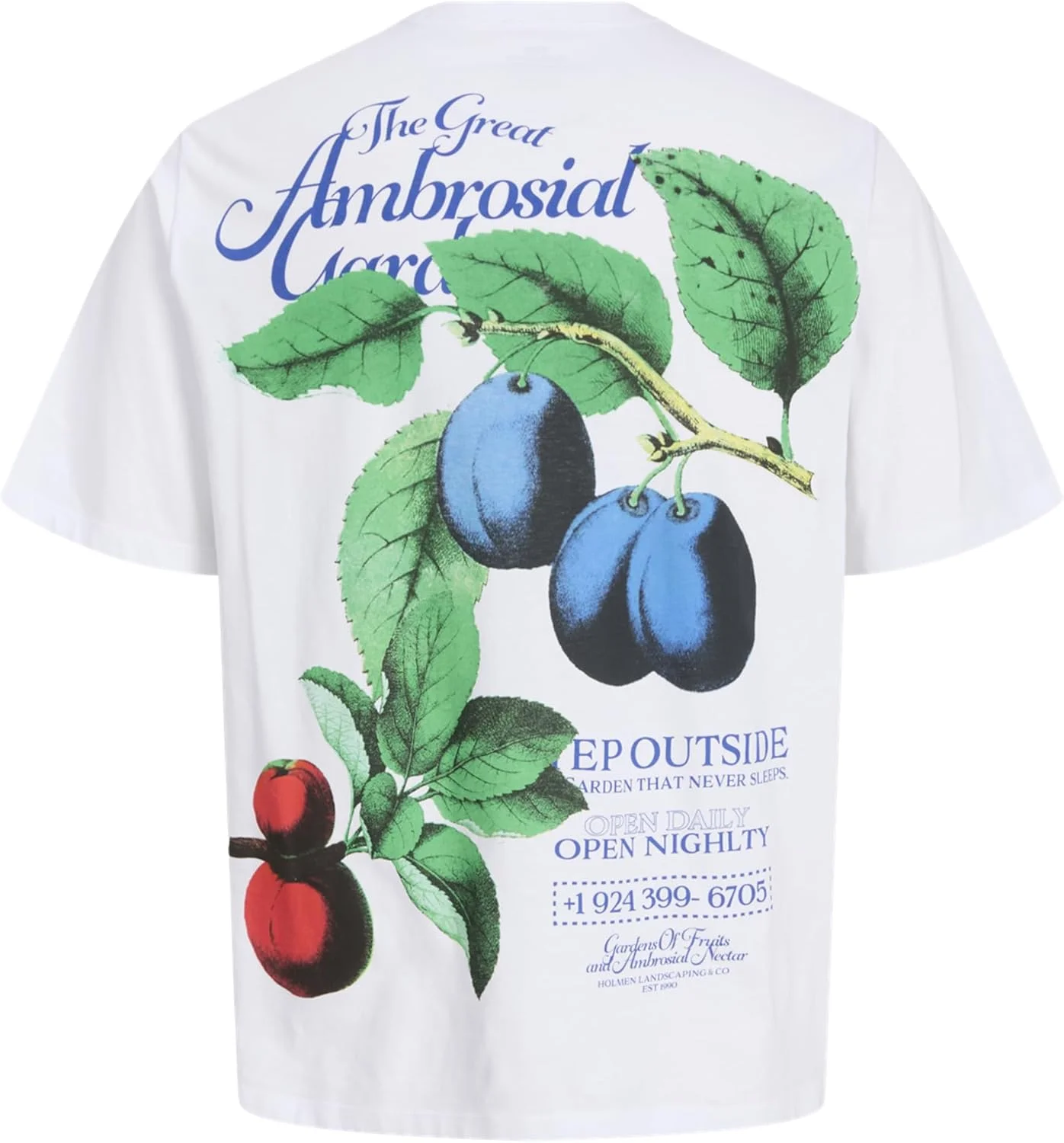 تی‌شرت یقه گرد آستین کوتاه مردانه جک اند جونز مدل Jorfauna Gallery Tee Ss Crew Neck Tg (بسته 1 عددی)