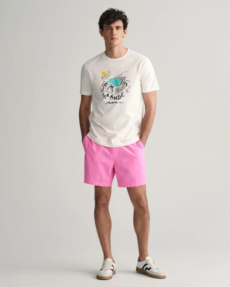 تی شرت مردانه طرح دار GANT