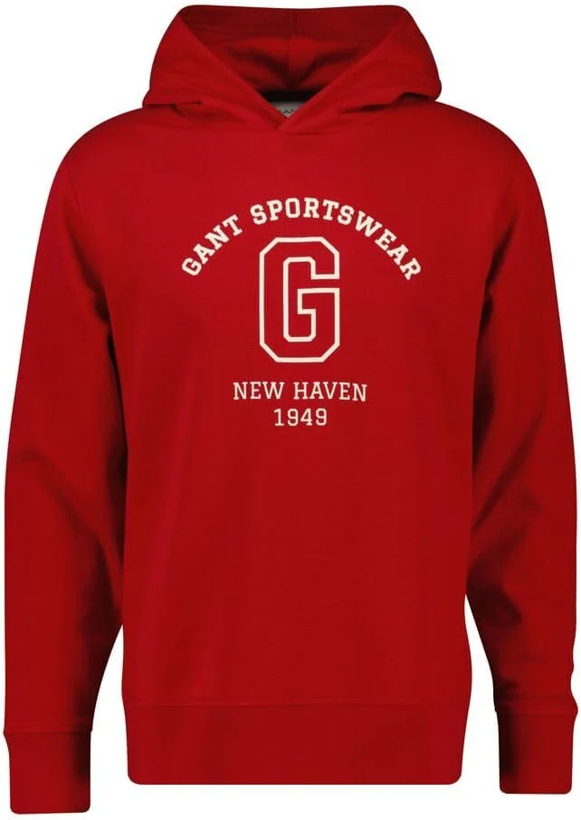 هودی مردانه طرح دار GANT