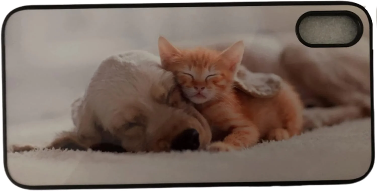 قاب گوشی آیفون SE نسل دوم، آیفون 7، آیفون 8 به همراه محافظ صفحه نمایش شیشه ای و قلم لمسی طرح سگ و گربه B 766-1-04