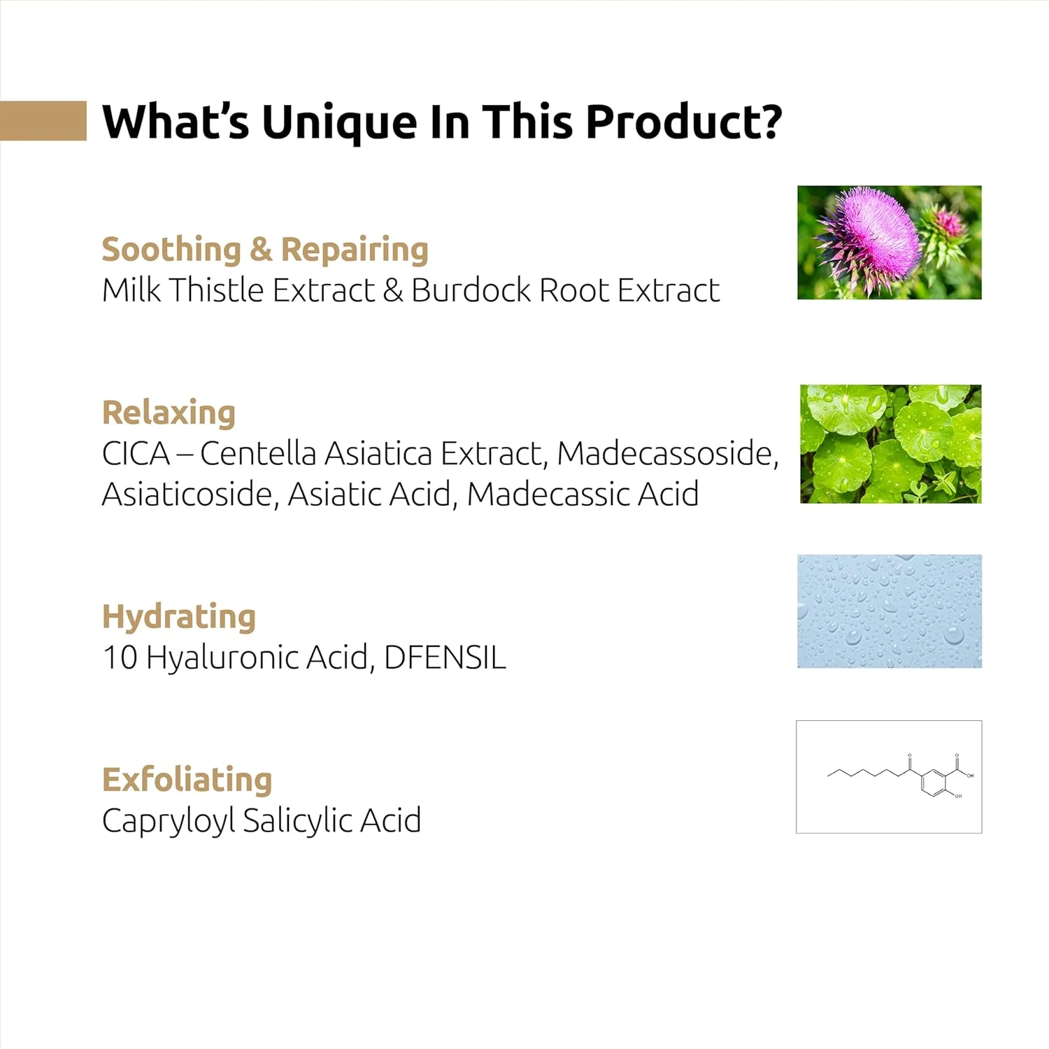 فوم شستشوی صورت بانوباگی حاوی خار مریم - شوینده آبرسان صورت برای پوست حساس حاوی سیکا، هیالورونیک اسید، سالیسیلیک اسید | لایه بردار و پاک کننده عمیق پوست صورت (120 میلی لیتر)