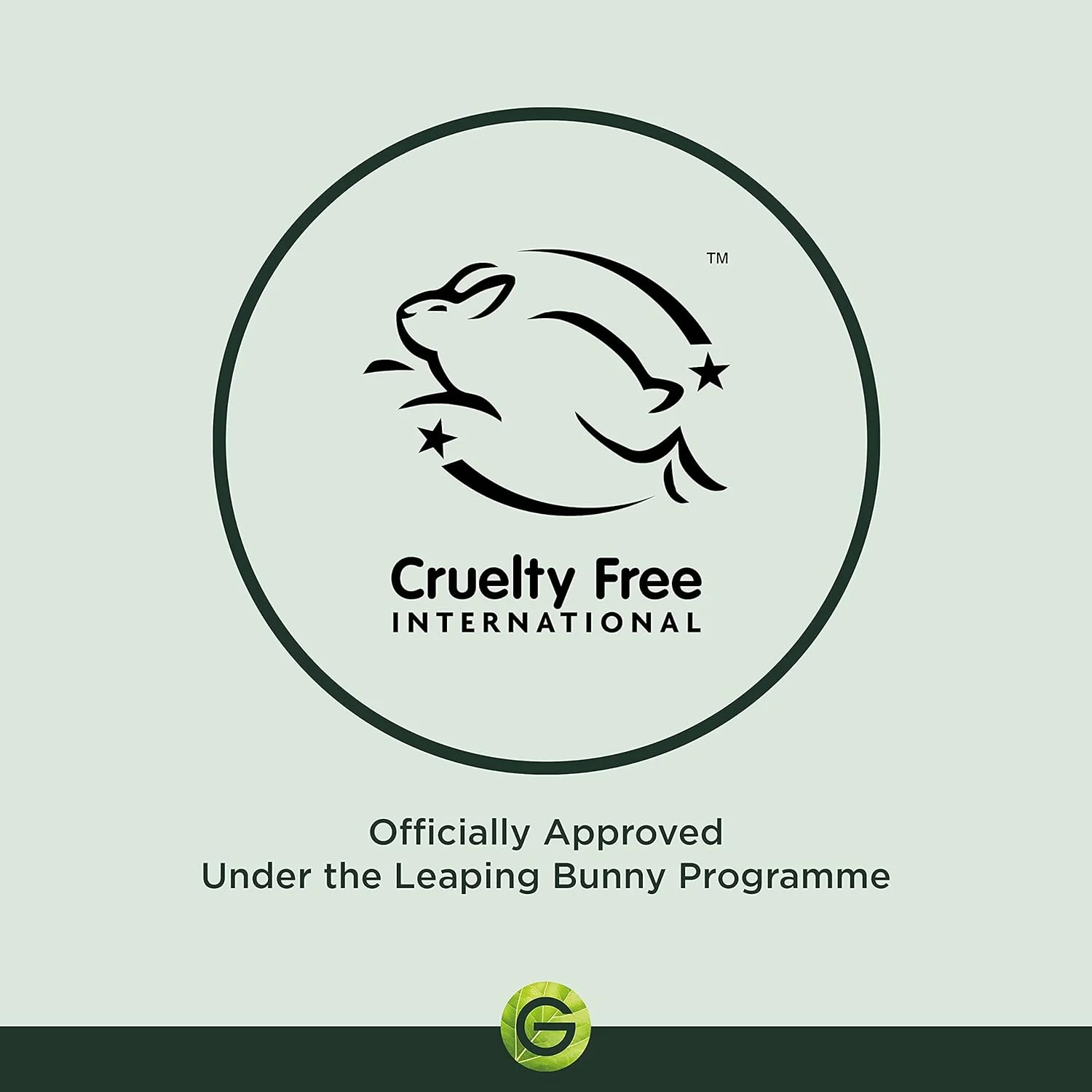 میسلار واتر پوست چرب گارنیه مدل Pure Active حجم 400 میلی لیتر، پاک کننده ملایم صورت و پاک کننده آرایش صورت، لب و چشم - پاک کننده و مات کننده پوست مختلط تا چرب، بهترین استفاده با پدهای سازگار با محیط زیست