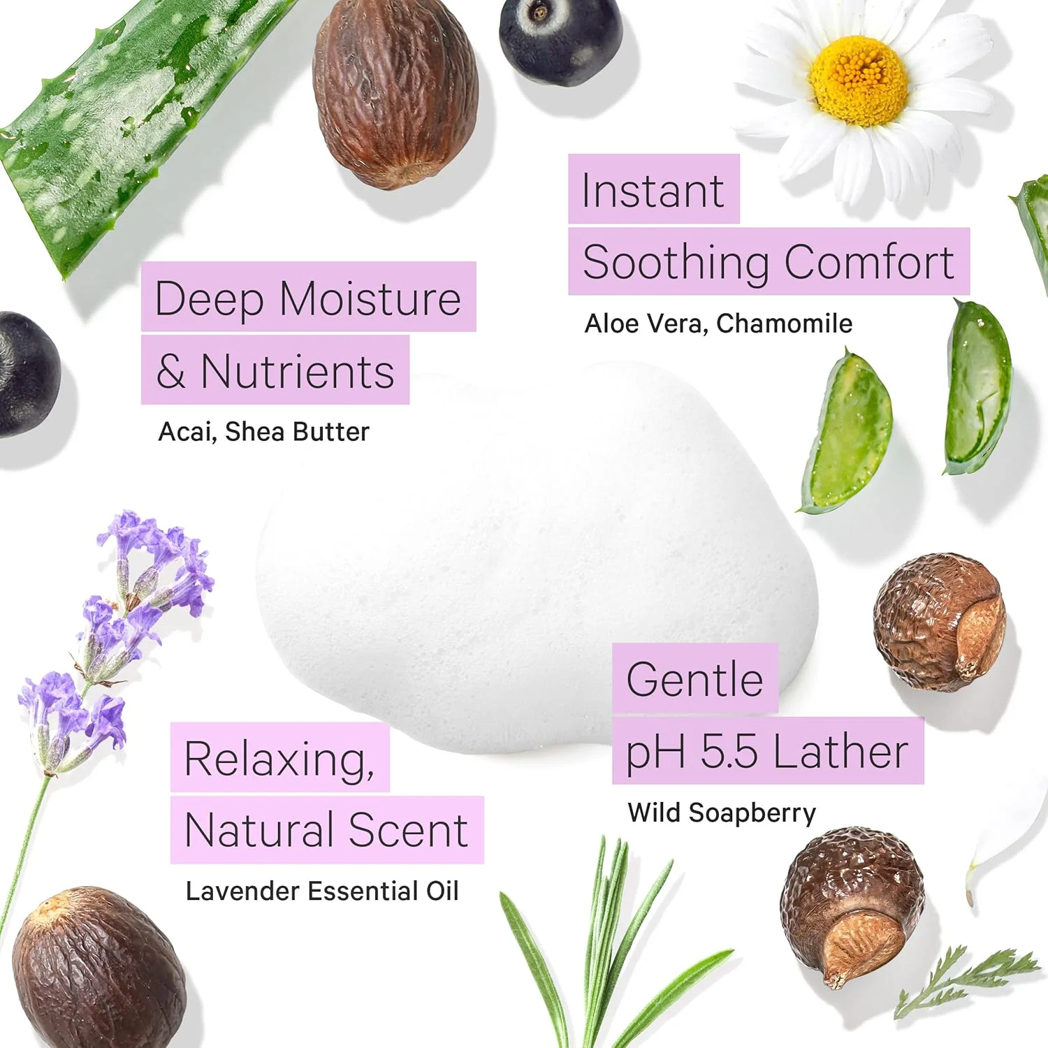 شوینده ملایم صورت Tree To Tub برای پوست خشک و حساس - پاک کننده مرطوب کننده و ملایم صورت برای خانم ها و آقایان، شوینده صورت آبرسان و فومینگ، صابون صورت روزانه با آلوئه ورا ارگانیک، روغن اسطوخودوس کاملا طبیعی شوینده ملایم صورت Tree To Tub برای پوست خشک و حساس - پاک کننده مرطوب کننده و ملایم صورت برای خانم ها و آقایان، شوینده صورت آبرسان و فومینگ، صابون صورت روزانه با آلوئه ورا ارگانیک، روغن اسطوخودوس کاملا طبیعی