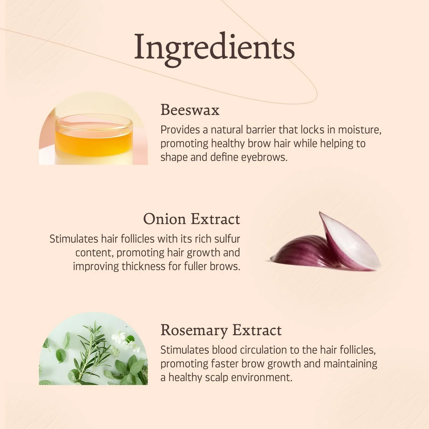 محلول تقویت کننده ابرو ایندلگو اسنشیالز به همراه 2 برس، افزایش ضخامت طبیعی ابرو | دارای گواهی نامه آیوش، 100% ارگانیک | ساخته شده با موم زنبور عسل، عصاره پیاز و ویتامین E - (20 گرم)