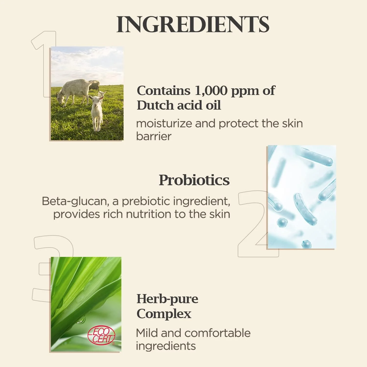 شاورمیت بادی واش شیر بز ممتاز مناسب پوست های حساس و نرمال، پاک کننده بدن با PH متعادل و مرطوب کننده، حاوی کمپلکس گیاهی خالص، 800 میلی لیتر، بسته 2 عددی شاورمیت بادی واش شیر بز ممتاز مناسب پوست های حساس و نرمال، پاک کننده بدن با PH متعادل و مرطوب کننده، حاوی کمپلکس گیاهی خالص، 800 میلی لیتر، بسته 2 عددی