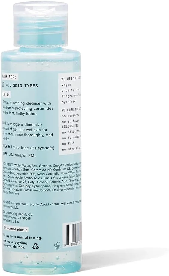 ژل شستشوی صورت Versed Wash It Out، ۱۹۰ میلی لیتر! پاک کننده صورت غنی شده با نعناع با طراوت و گلاب مغذی! بدون تست حیوانی، بدون پارابن و وگان! درمان صورت خود را انتخاب کنید! (پاک کننده صورت)