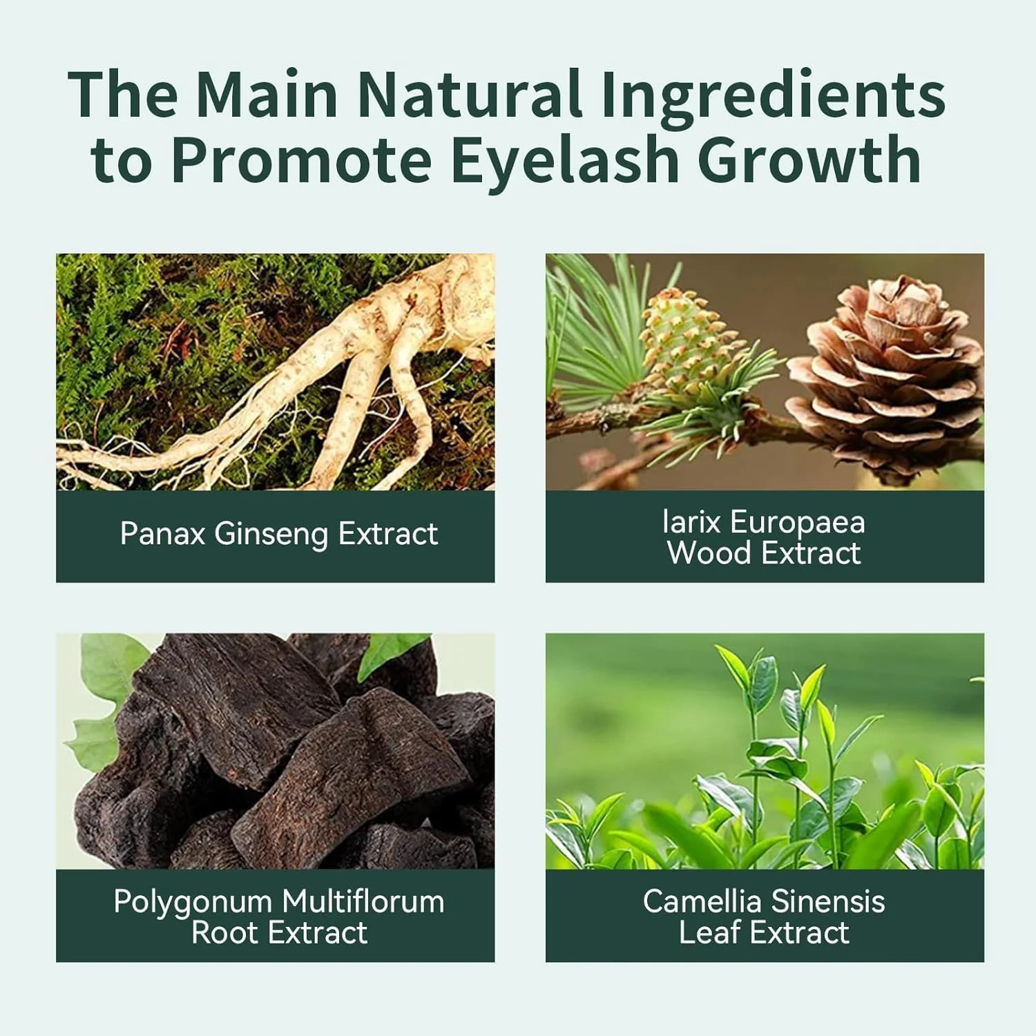 سرم رشد سریع مژه با روغن کرچک، درمان دوگانه مژه و ابرو برای مژه‌ها و ابروهای ضخیم‌تر، پرپشت‌تر و قوی‌تر - وگان، بدون تست حیوانی، نرم کننده ضد حساسیت برای رشد سالم‌تر