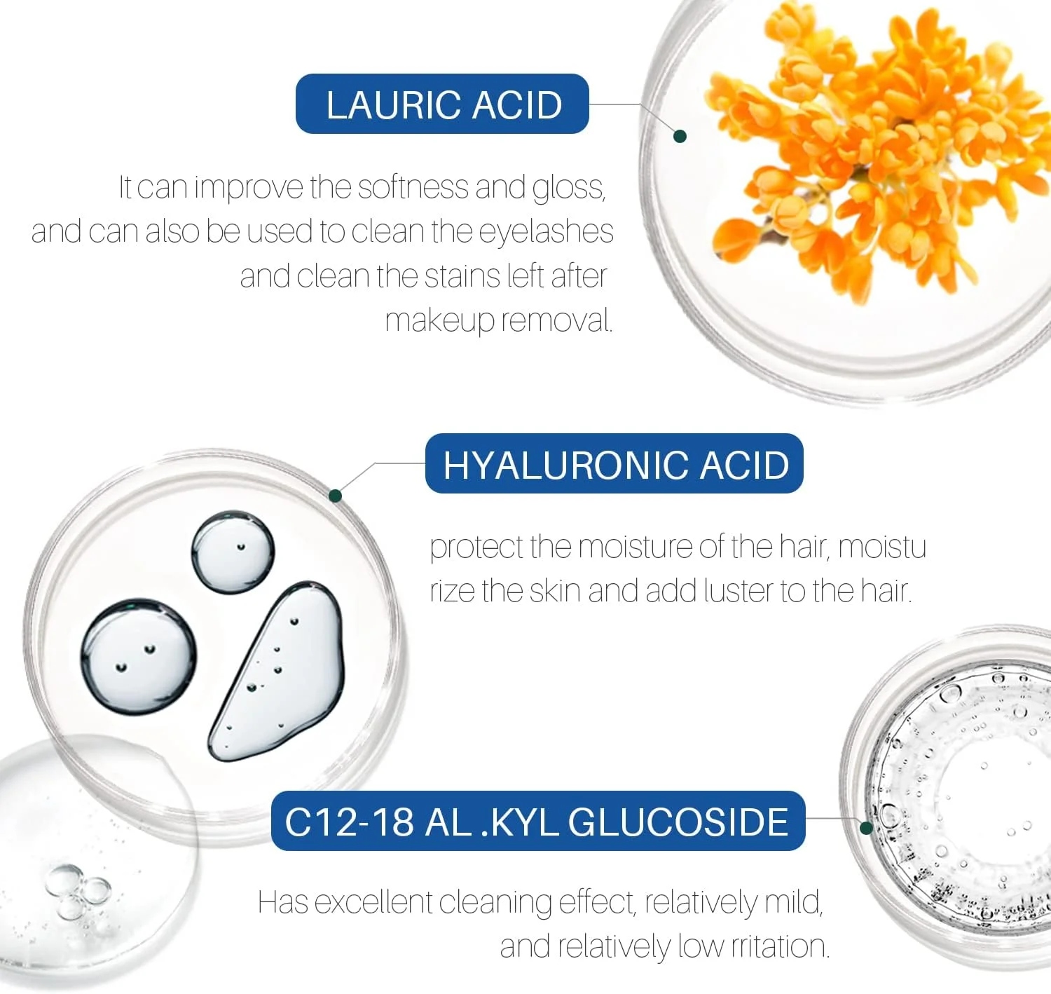 شامپو مژه لانتوم، پاک کننده بقایای آرایش و ریمل، پاک کننده ملایم و بدون سوزش برای فوم اکستنشن مژه - ایده آل برای استفاده در سالن و مراقبت در منزل (50 میلی لیتر)