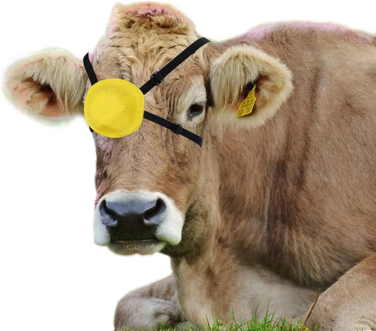 پوشش چشم گاو، پد آسیب دیدگی چشم گاو، تک چشم بند برای گاو، گاو نر، اسب، دام، گوسفند، لوازم جانبی محافظ چشم، ماسک مگس گیر