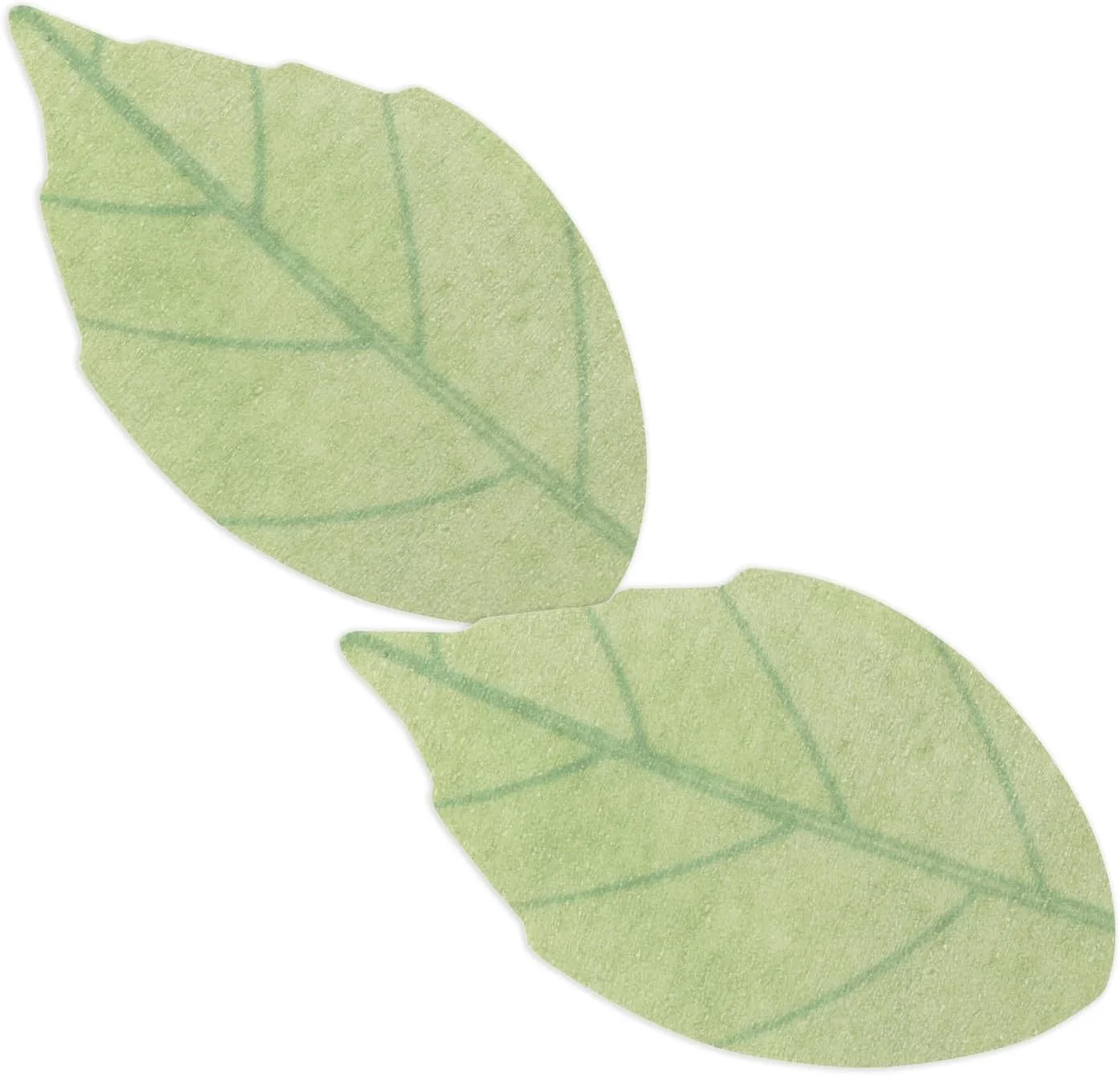 پچ های دور چشم ضد پف پاسیفیکا، 20 گرم، بسته 1 عددی