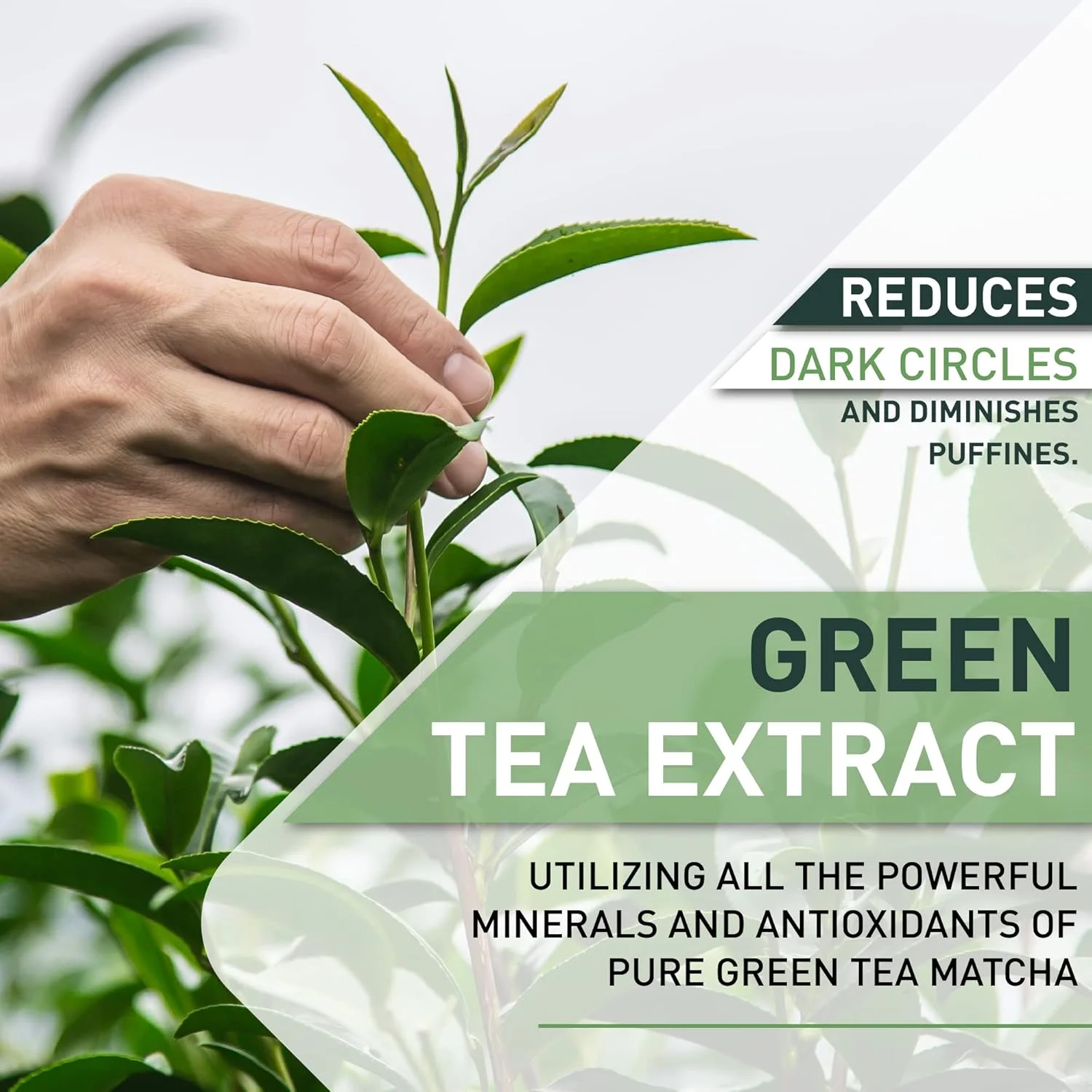 ماسک دور چشم سفت کننده چای سبز ماچا | بهترین پدهای کلاژن برای خطوط ریز و چروک | درمان سیاهی و پف زیر چشم | پدهای ژلی ضد پیری صورت | مراقبت از پوست تیره و خسته صورت