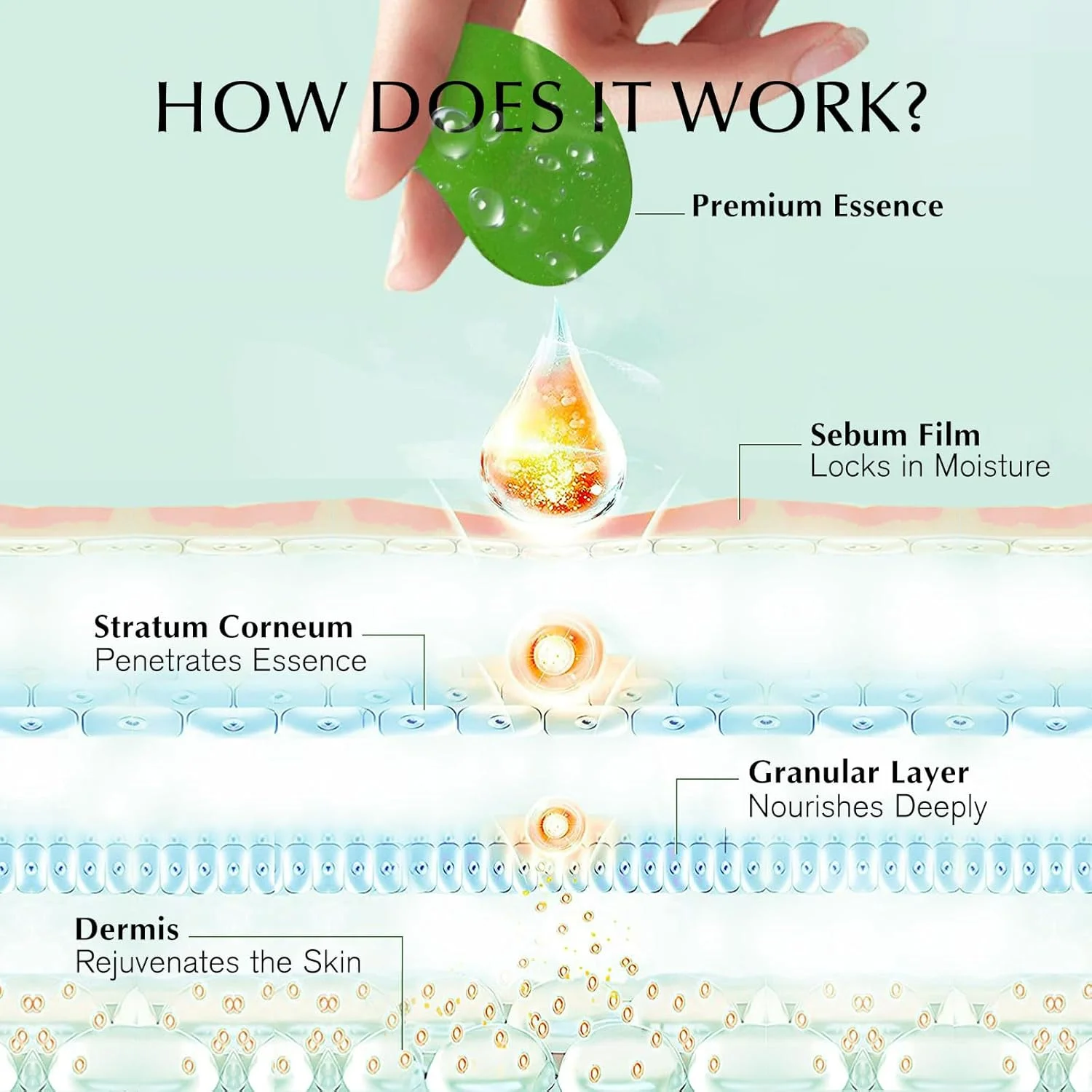 پچ ماسک زیر چشم Enaskin Naturals، پچ های ژلی کلاژن رتینول زیر چشم برای سیاهی و پف، ماسک آبرسان و مرطوب کننده چشم طلای 24 عیار، ضد پیری، ضد چروک، خنک کننده، مناسب سفر و خواب پچ ماسک زیر چشم Enaskin Naturals، پچ های ژلی کلاژن رتینول زیر چشم برای سیاهی و پف، ماسک آبرسان و مرطوب کننده چشم طلای 24 عیار، ضد پیری، ضد چروک، خنک کننده، مناسب سفر و خواب