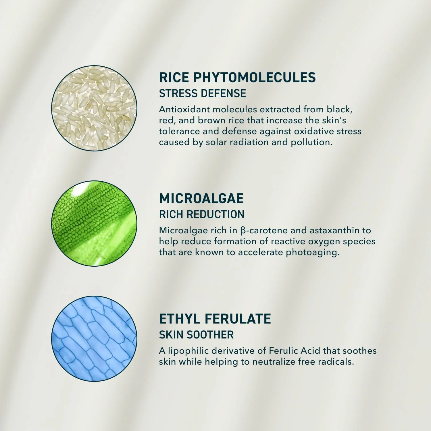 ضد آفتاب مرطوب کننده صورت Prequel Skin Solar Shade با SPF 46 PA++++ و محافظت طیف گسترده در برابر اشعه ماوراء بنفش. ضد آفتاب آبرسان برای پوست خشک. محافظت در برابر آفتاب سبک و مناسب مسافرت، 50 میلی لیتر