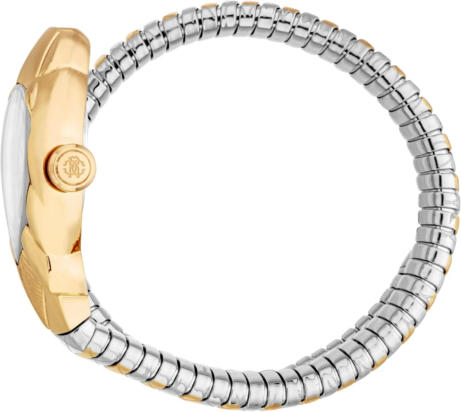 ساعت مچی آنالوگ زنانه روبرتو کاوالی مدل RC5L110M0065 با قاب بیضی شکل، قطر قاب 25 میلی متر، طلایی/نقره ای ساعت مچی آنالوگ زنانه روبرتو کاوالی مدل RC5L110M0065 با قاب بیضی شکل، قطر قاب 25 میلی متر، طلایی/نقره ای