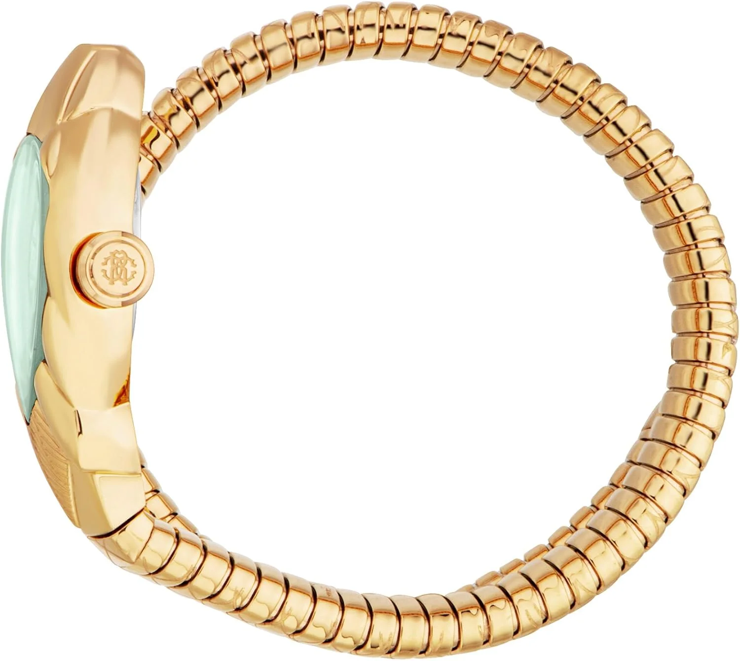 ساعت مچی آنالوگ زنانه روبرتو کاوالی مدل RC5L110M0045 با قاب بیضی شکل، قطر قاب 25 میلی متر، طلایی ساعت مچی آنالوگ زنانه روبرتو کاوالی مدل RC5L110M0045 با قاب بیضی شکل، قطر قاب 25 میلی متر، طلایی