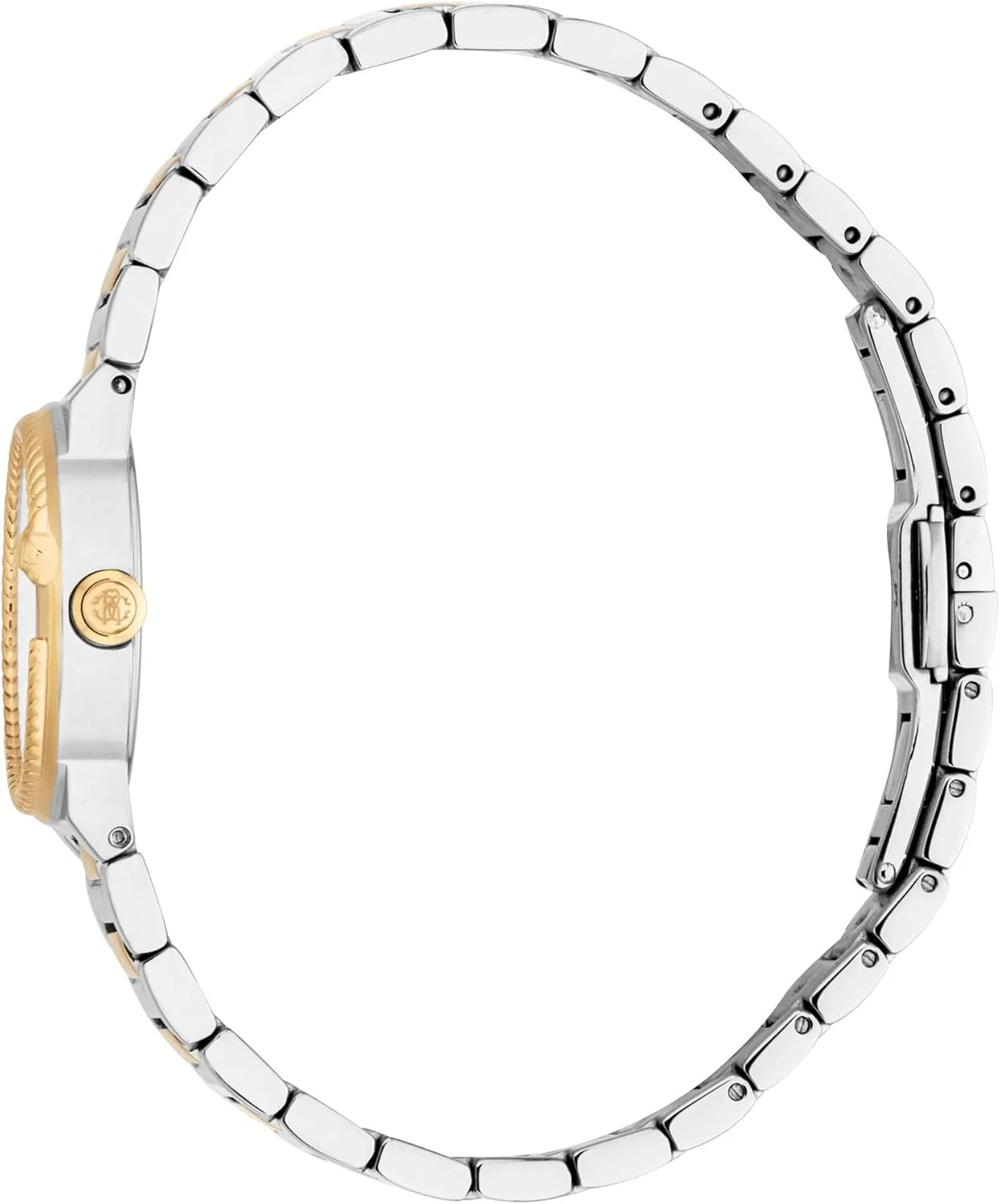 ساعت مچی آنالوگ زنانه روبرتو کاوالی مدل RC5L117M0055 با قاب گرد، قطر 26 میلی متر، نقره ای خاکستری/نقره ای