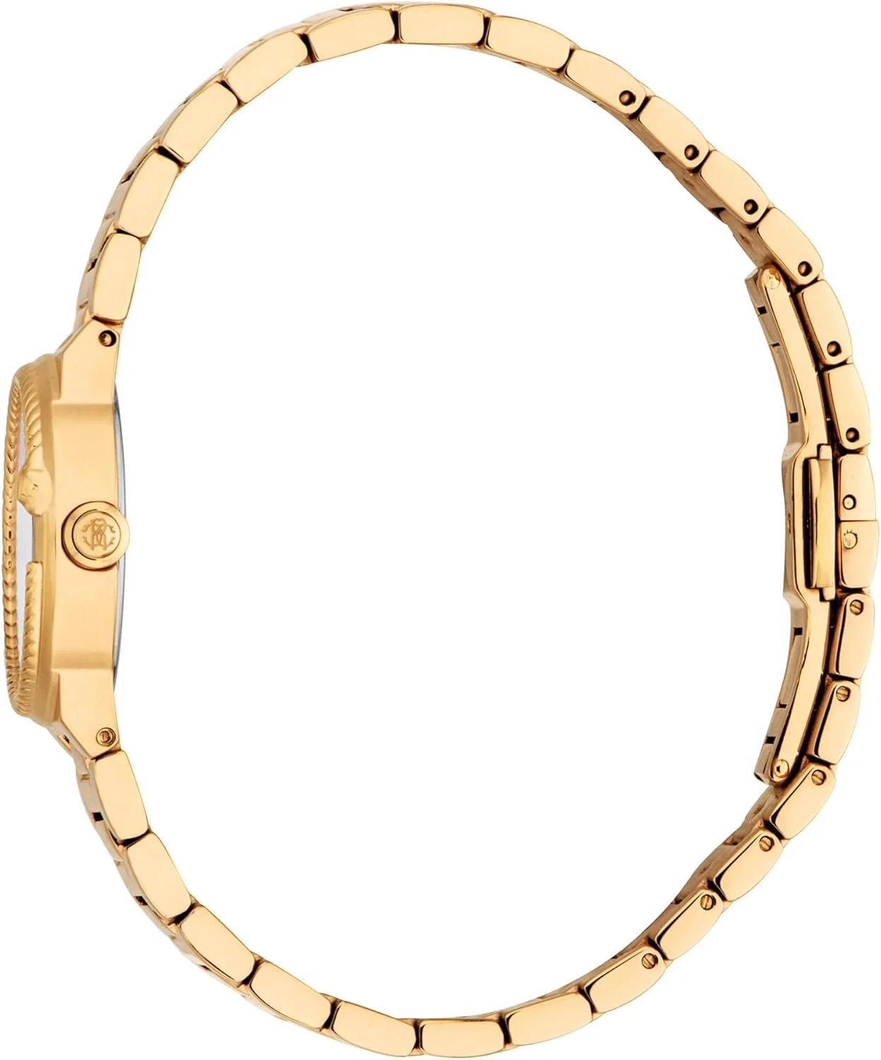 ساعت مچی آنالوگ زنانه روبرتو کاوالی مدل RC5L117M0025 با قاب گرد، قطر 26 میلی متر، طلایی/طلایی ساعت مچی آنالوگ زنانه روبرتو کاوالی مدل RC5L117M0025 با قاب گرد، قطر 26 میلی متر، طلایی/طلایی