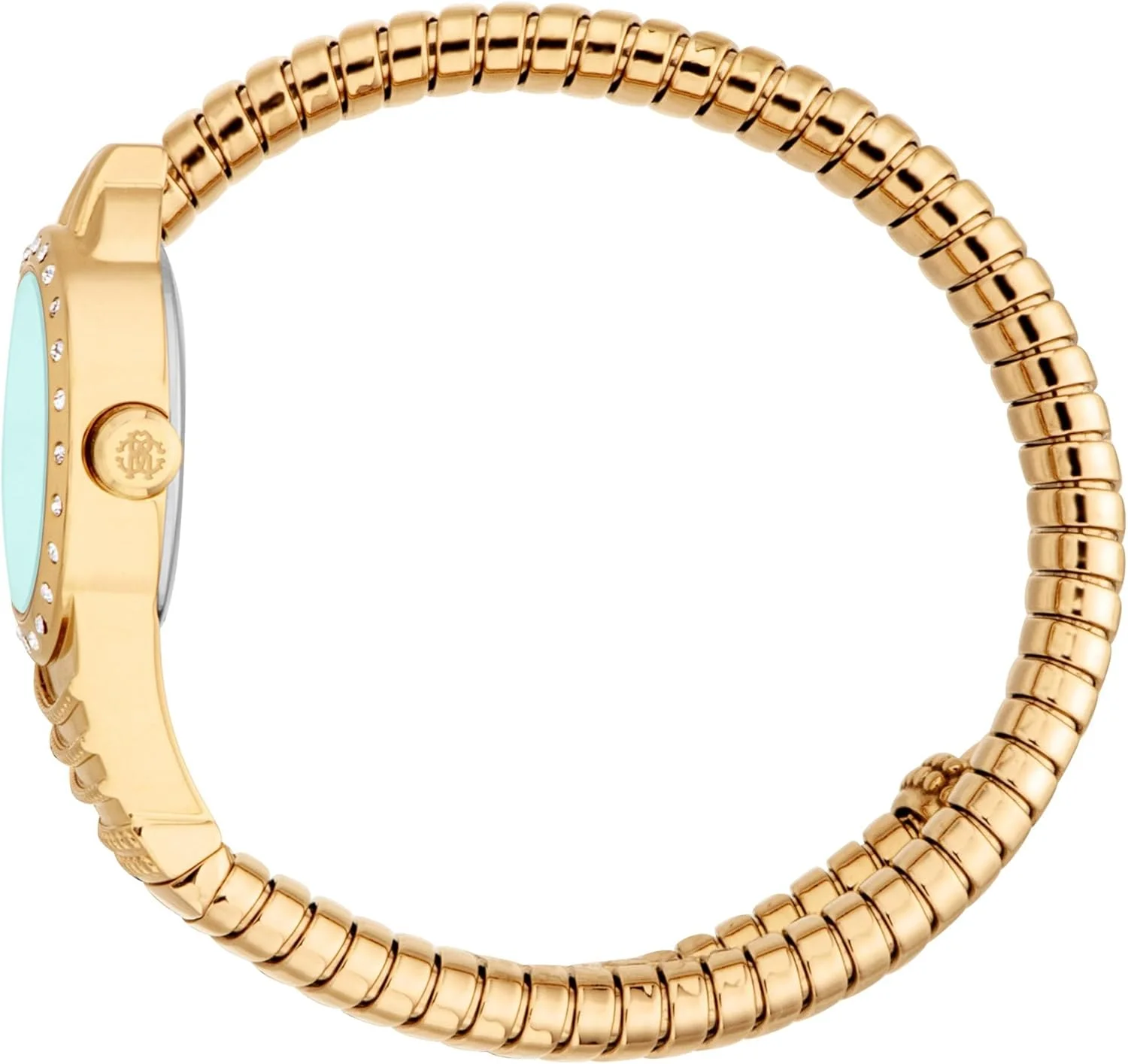 ساعت مچی آنالوگ زنانه روبرتو کاوالی مدل RC5L114M0045 با صفحه گرد، قطر قاب 22 میلی متر، طلایی ساعت مچی آنالوگ زنانه روبرتو کاوالی مدل RC5L114M0045 با صفحه گرد، قطر قاب 22 میلی متر، طلایی