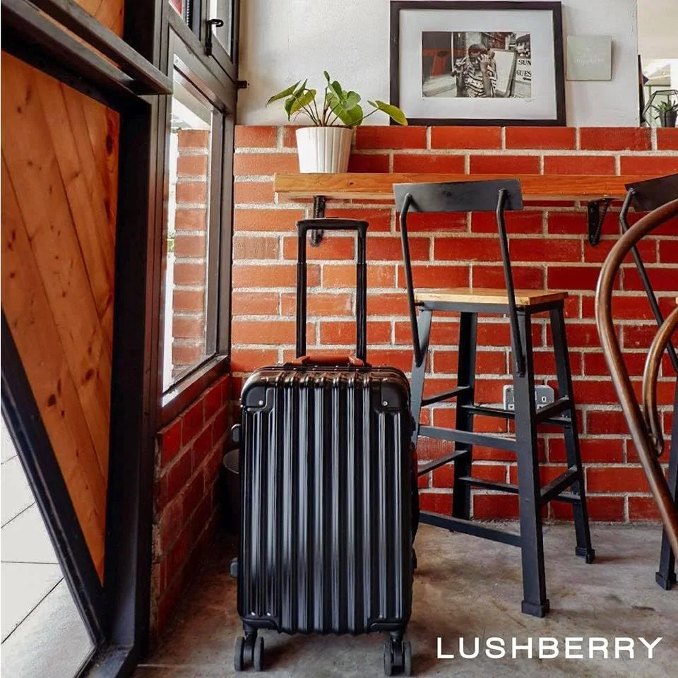 چمدان سخت LUSHBERRY، ساخته شده از پلی کربنات با تکنولوژی برتر و 4 چرخ دوبل بی صدا، دارای قفل ضد سرقت مورد تایید TSA (مشکی، BAKER-C سایز 20 اینچ)