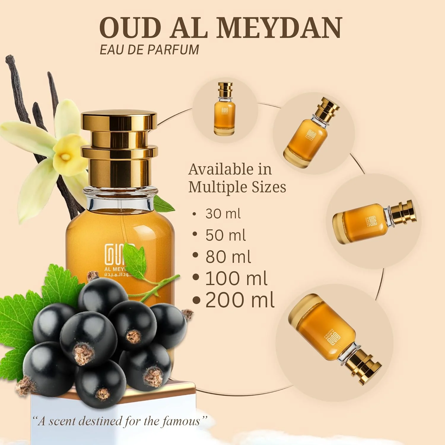 عطر روغنی زنانه و مردانه – رایحه ای از Aanny – روغن عطر وانیلی و کهربایی تند با زنجبیل، هل و چوب صندل – رایحه بدون الکل ماندگار و مناسب برای هر دو جنس (50 میلی لیتر)