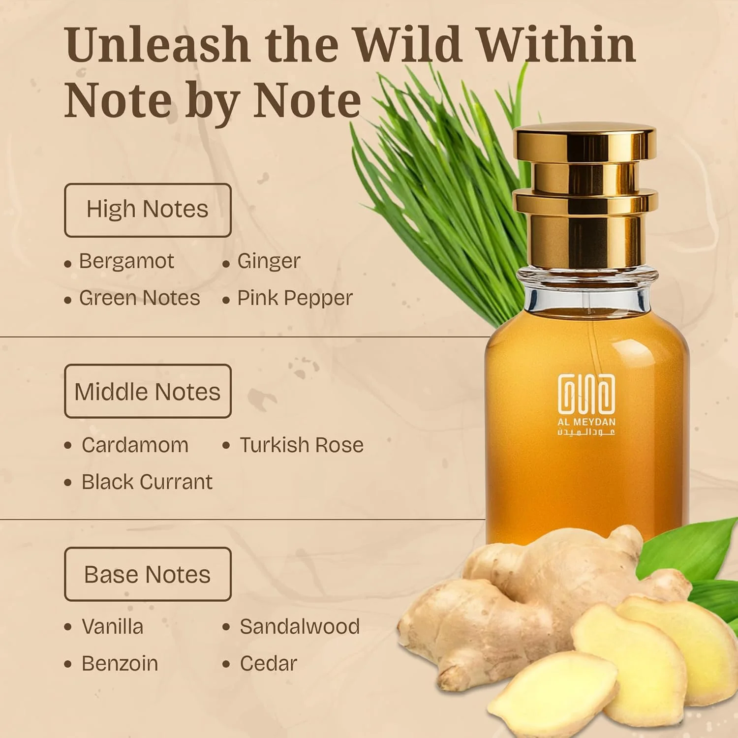 عطر روغنی زنانه و مردانه – رایحه ای از Aanny – روغن عطر وانیلی و کهربایی تند با زنجبیل، هل و چوب صندل – رایحه بدون الکل ماندگار و مناسب برای هر دو جنس (50 میلی لیتر)