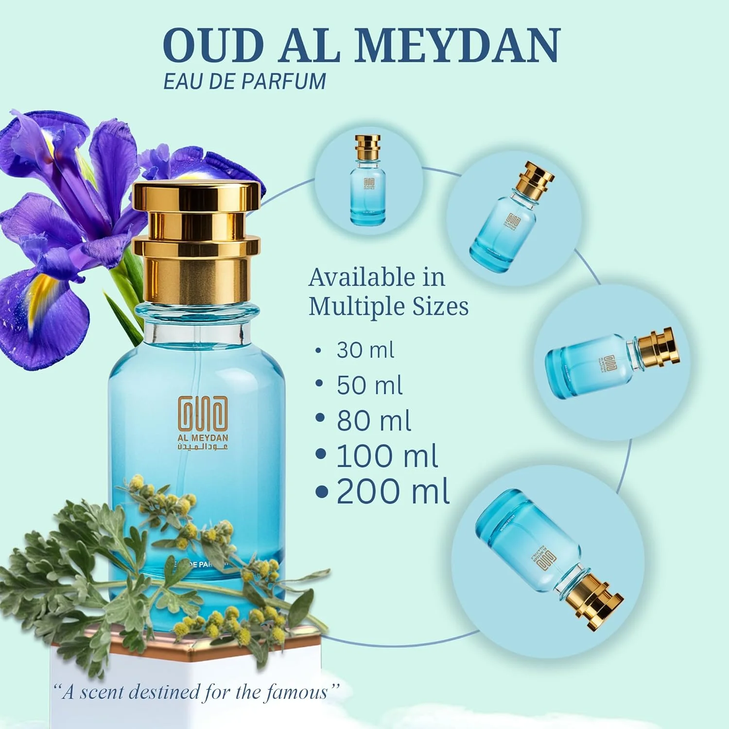 عطر روغنی مردانه و زنانه – رایحه ای از ایریس امپایر – عطر یونیسکس ماندگار – رایحه گرم، ادویه ای، پودری و چوبی (80 میلی لیتر)