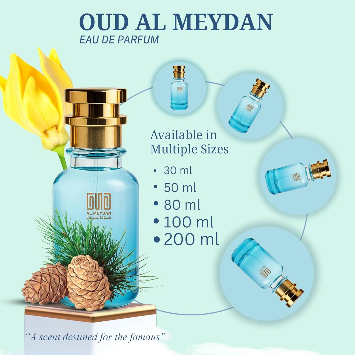 عطر روغنی زنانه و مردانه – رایحه ای از وینیتیان بیرگاموت – عطر بدون الکل یونیسکس با ترنج، گاردنیا و چوب صندل – رایحه مرکباتی تند ماندگار (50 میلی لیتر)