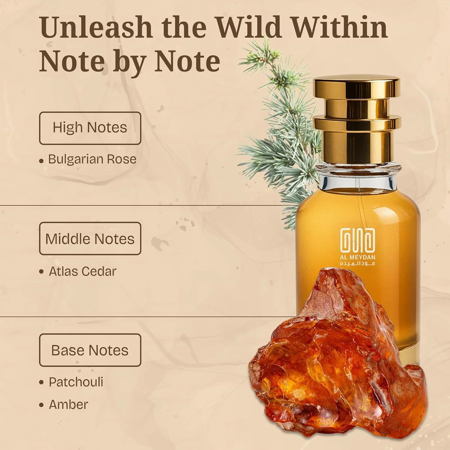 عطر روغنی زنانه و مردانه – رایحه ای از گرییس دیور – عطر بدون الکل یونیسکس با رز بلغاری، سدر، نعناع هندی و عنبر – رایحه چوبی گرم و تند ماندگار (50 میلی لیتر)