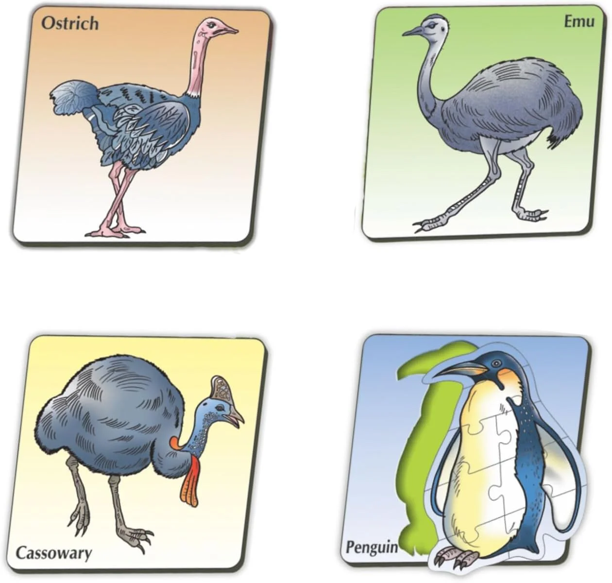 پازل های هوشمندانه حیوانات – پرندگان بدون پرواز | ۴ پازل حیوانات با شکل های شترمرغ، ایمو، کاسواری و پنگوئن | پازل اره مویی آموزشی زودهنگام برای کودکان | ۴، ۵، ۶ و ۸ قطعه | اسباب بازی آموزشی برای سنین ۳ سال به بالا