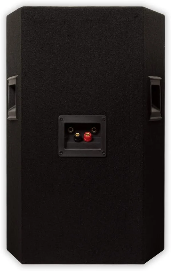 مانیتور استودیویی آکوستیک آدیو بای گلدوود، مشکی (PA-380X) مانیتور استودیویی آکوستیک آدیو بای گلدوود، مشکی (PA-380X)