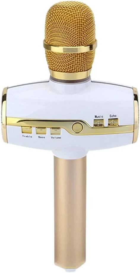 میکروفون بلوتوث بی‌سیم، میکروفون دستی قابل حمل، اسپیکر کارائوکه برای KTV خانگی و مهمانی در فضای باز