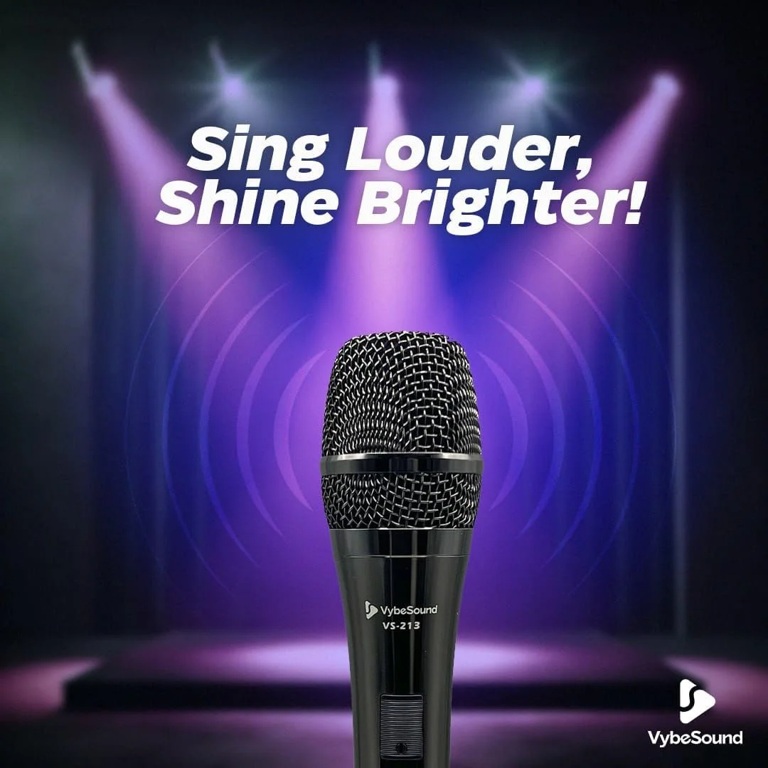 میکروفون VS-213 مشکی میکروفون VS-213 مشکی