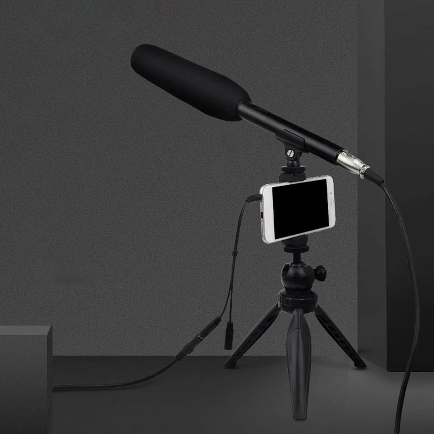 میکروفون کندانسور XLR گزارشگر خبری تلویزیون، میکروفون با حساسیت بالا، کیت مصاحبه حرفه ای آلیاژ آلومینیوم میکروفون کندانسور XLR گزارشگر خبری تلویزیون، میکروفون با حساسیت بالا، کیت مصاحبه حرفه ای آلیاژ آلومینیوم