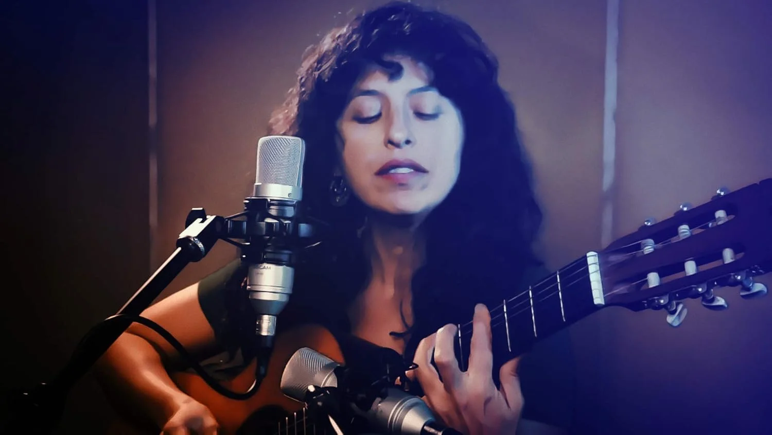 میکروفون کاندنسر دیافراگم بزرگ Tascam TM-80