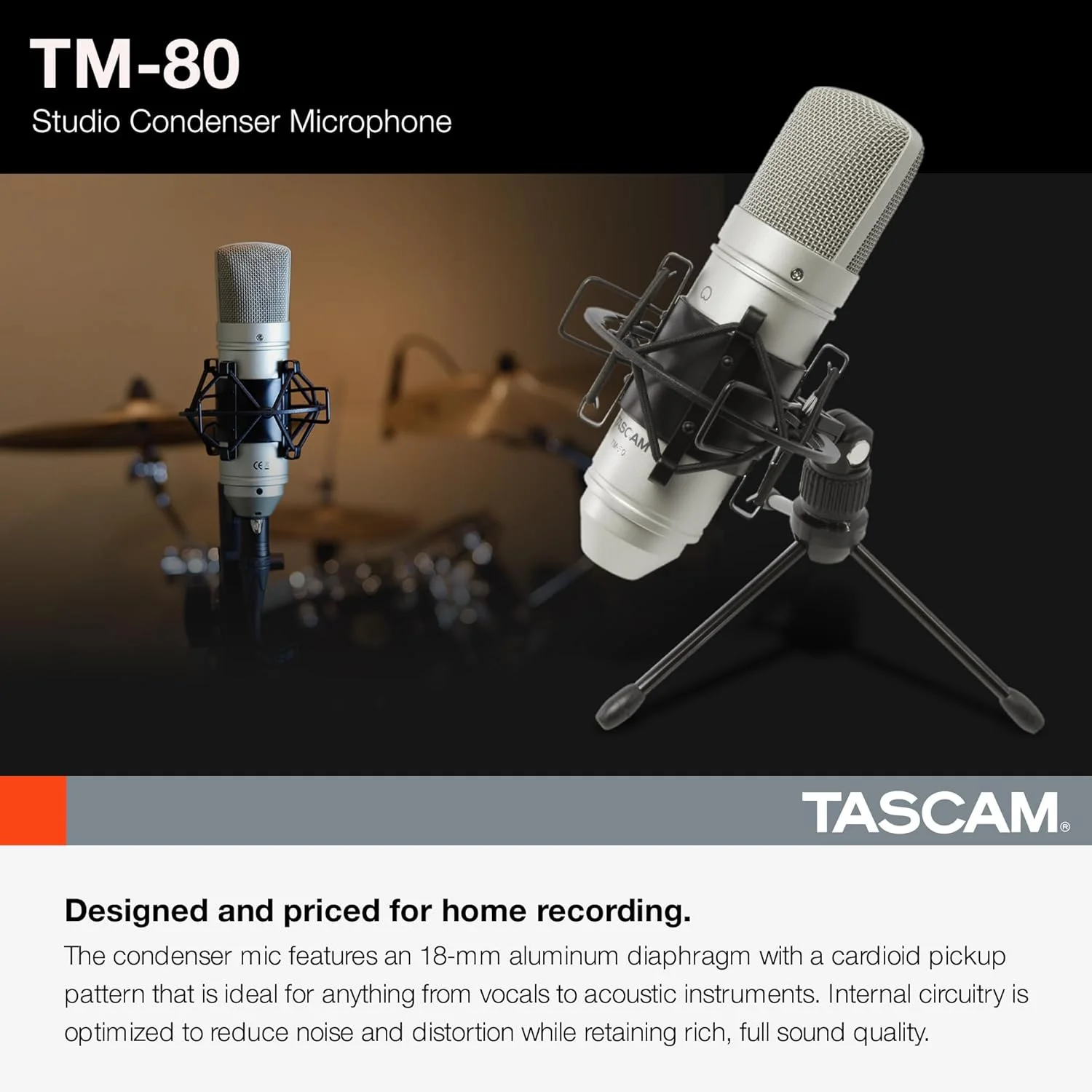 میکروفون کاندنسر دیافراگم بزرگ Tascam TM-80