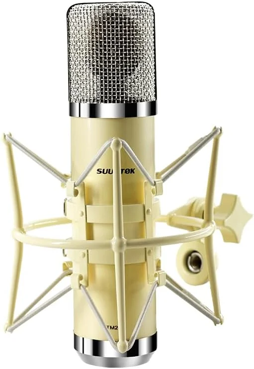 میکروفون کاندنسر تیوبی حرفه ای XLR استودیویی با دیافراگم بزرگ 34 میلی متری، میکروفون ضبط کاردیوئید برای بازی کامپیوتر، کیت میکروفون TM251S برای آواز، پادکست، یوتیوب - زرد میکروفون کاندنسر تیوبی حرفه ای XLR استودیویی با دیافراگم بزرگ 34 میلی متری، میکروفون ضبط کاردیوئید برای بازی کامپیوتر، کیت میکروفون TM251S برای آواز، پادکست، یوتیوب - زرد