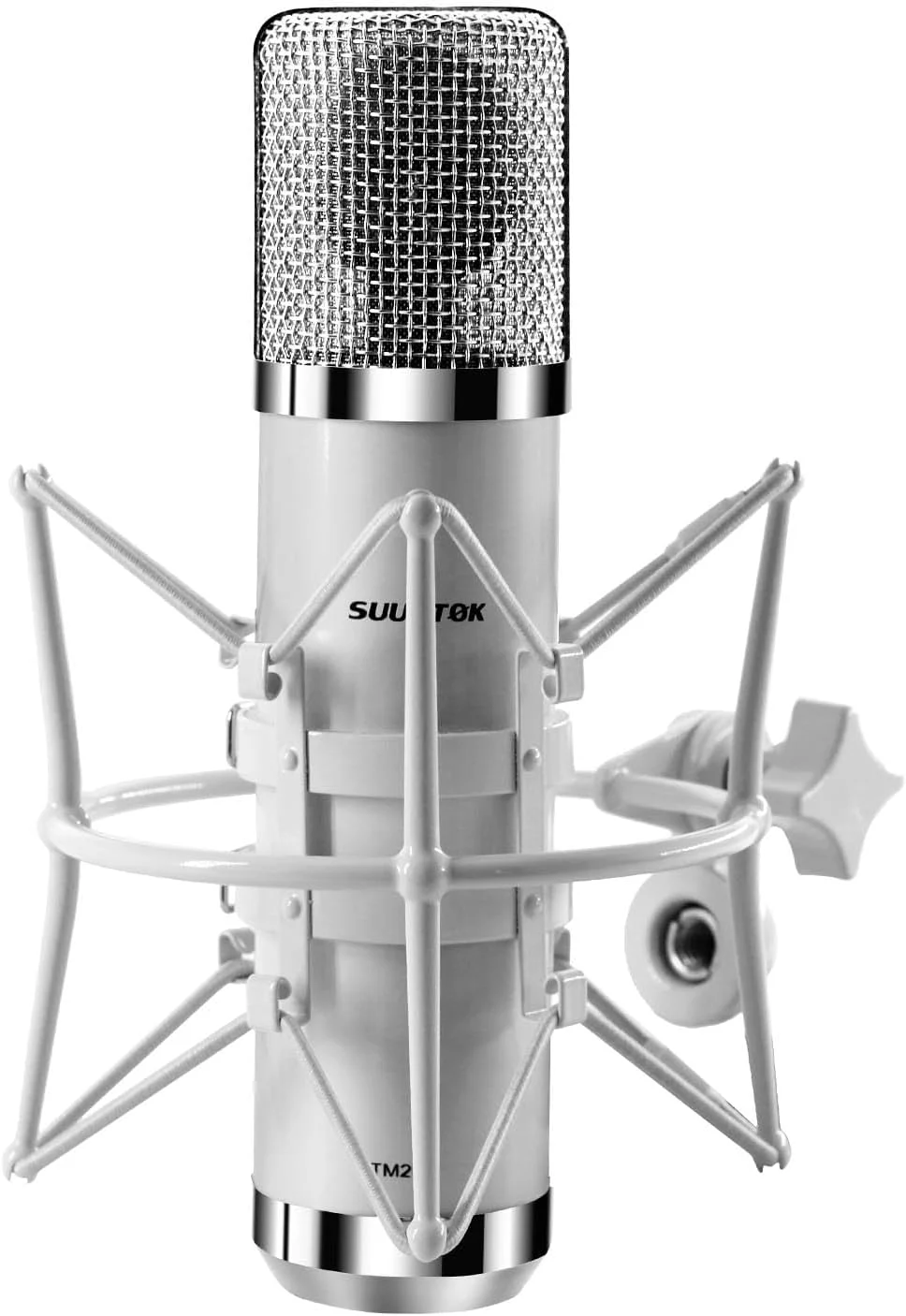 میکروفون استودیویی حرفه ای XLR با دیافراگم بزرگ 34 میلی متری، میکروفون ضبط کاردیوئید برای بازی، کامپیوتر، پادکست، یوتیوب - خاکستری میکروفون استودیویی حرفه ای XLR با دیافراگم بزرگ 34 میلی متری، میکروفون ضبط کاردیوئید برای بازی، کامپیوتر، پادکست، یوتیوب - خاکستری