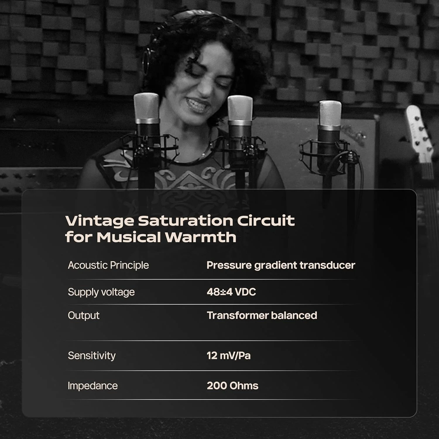 میکروفون استودیویی حرفه ای کاندنسر با دیافراگم بزرگ 34 میلی متری Roswell Pro Audio Mini K67x با مدار وینتیج، ترانسفورماتور خروجی سفارشی و اشباع هارمونیک برای پادکست، وکال، گیتار - 1U