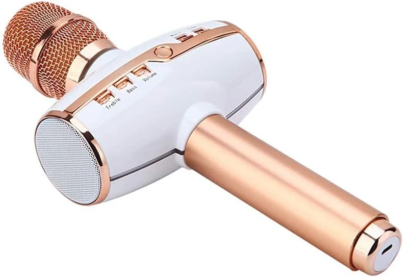 میکروفون بلوتوث بی‌سیم، میکروفون دستی قابل حمل، اسپیکر پخش کارائوکه برای مهمانی در فضای باز و استفاده در منزل